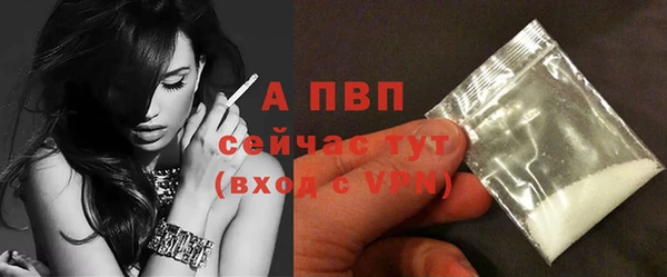 амф Магас