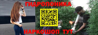 гашик Аргун