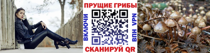 Псилоцибиновые грибы MAGIC MUSHROOMS  Калининград 