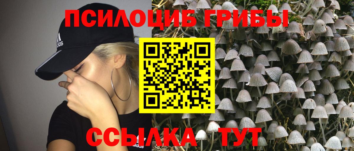 Псилоцибиновые грибы мицелий Калининград