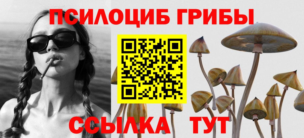 Галлюциногенные грибы Cubensis  Вход с VPN  Галлюциногенные грибы Magic Shrooms  Калининград 